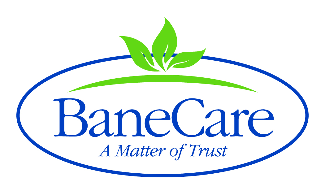 BaneCare